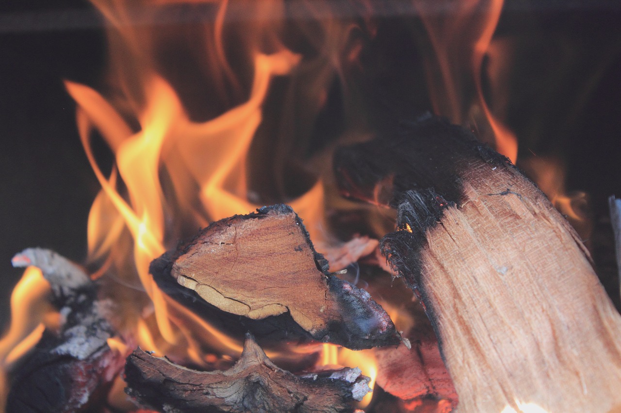 fire campfire wood burning free photo