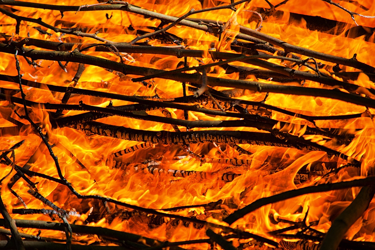 fire flames campfire free photo