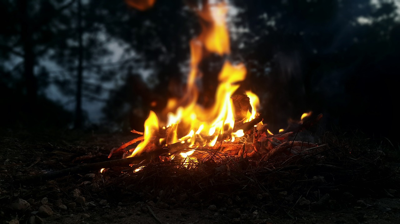 fire outdoors nature free photo