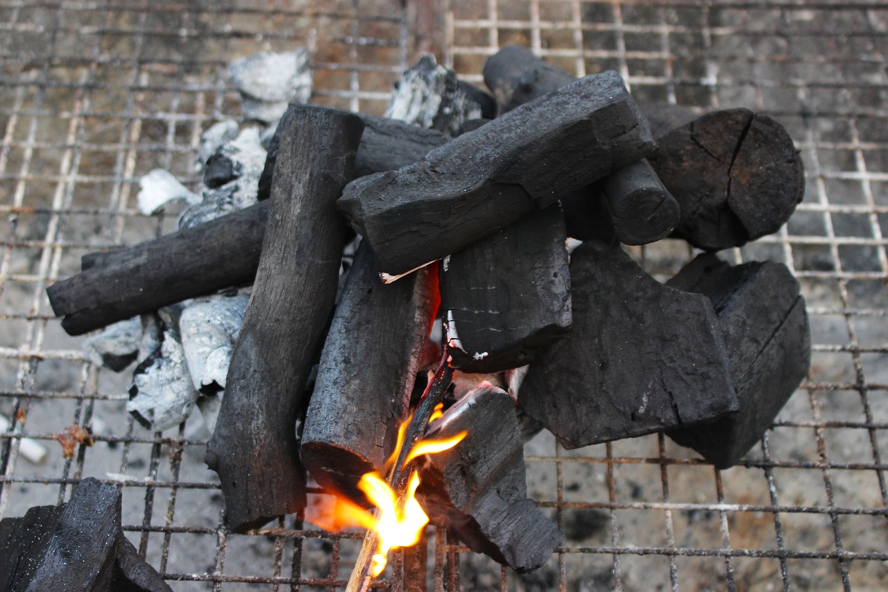 fire charcoal barbecue free photo