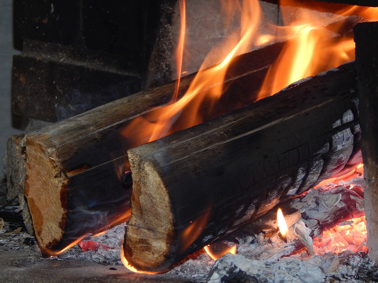 fire firewood wood free photo