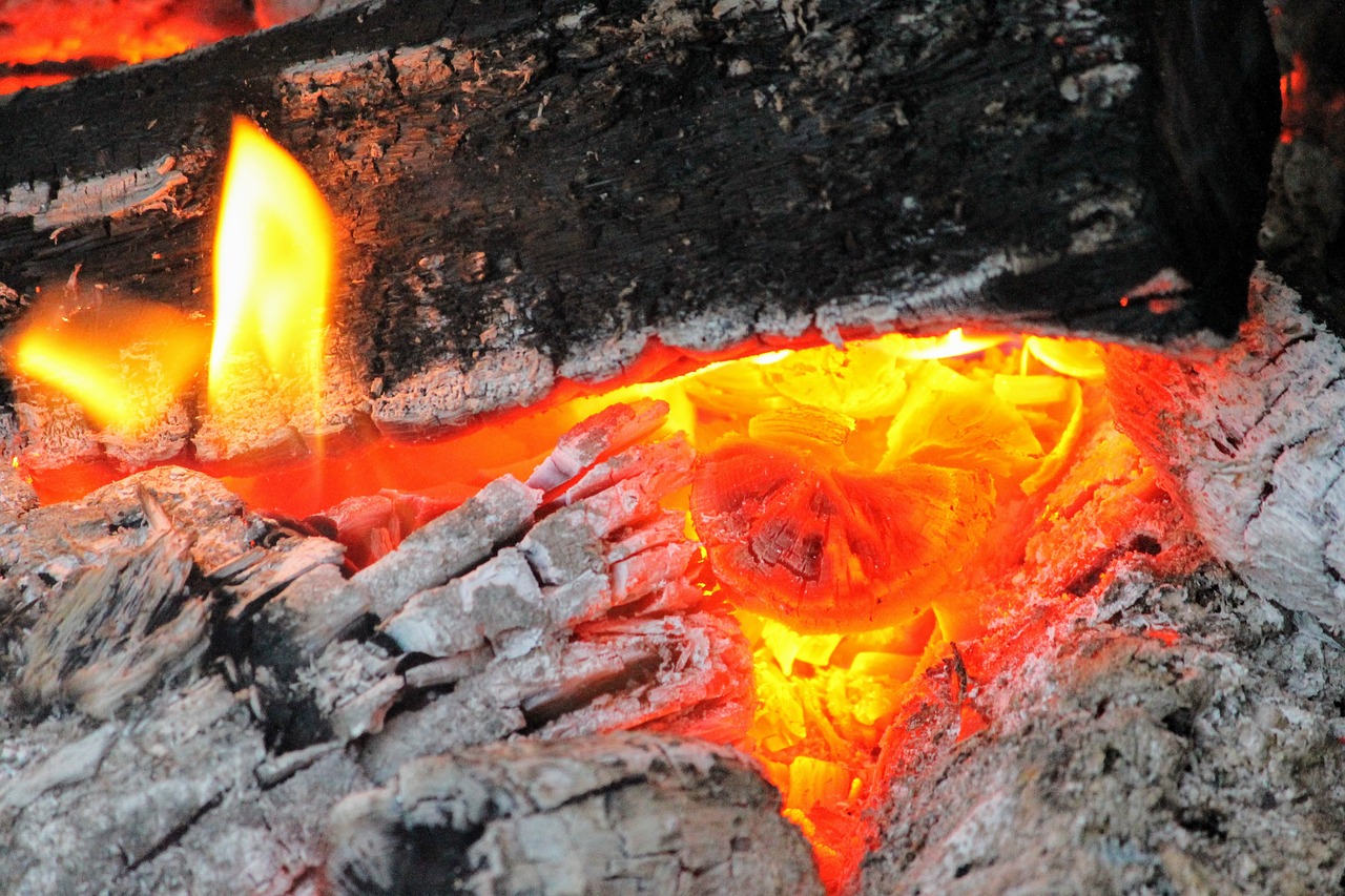 fire coal ashes free photo