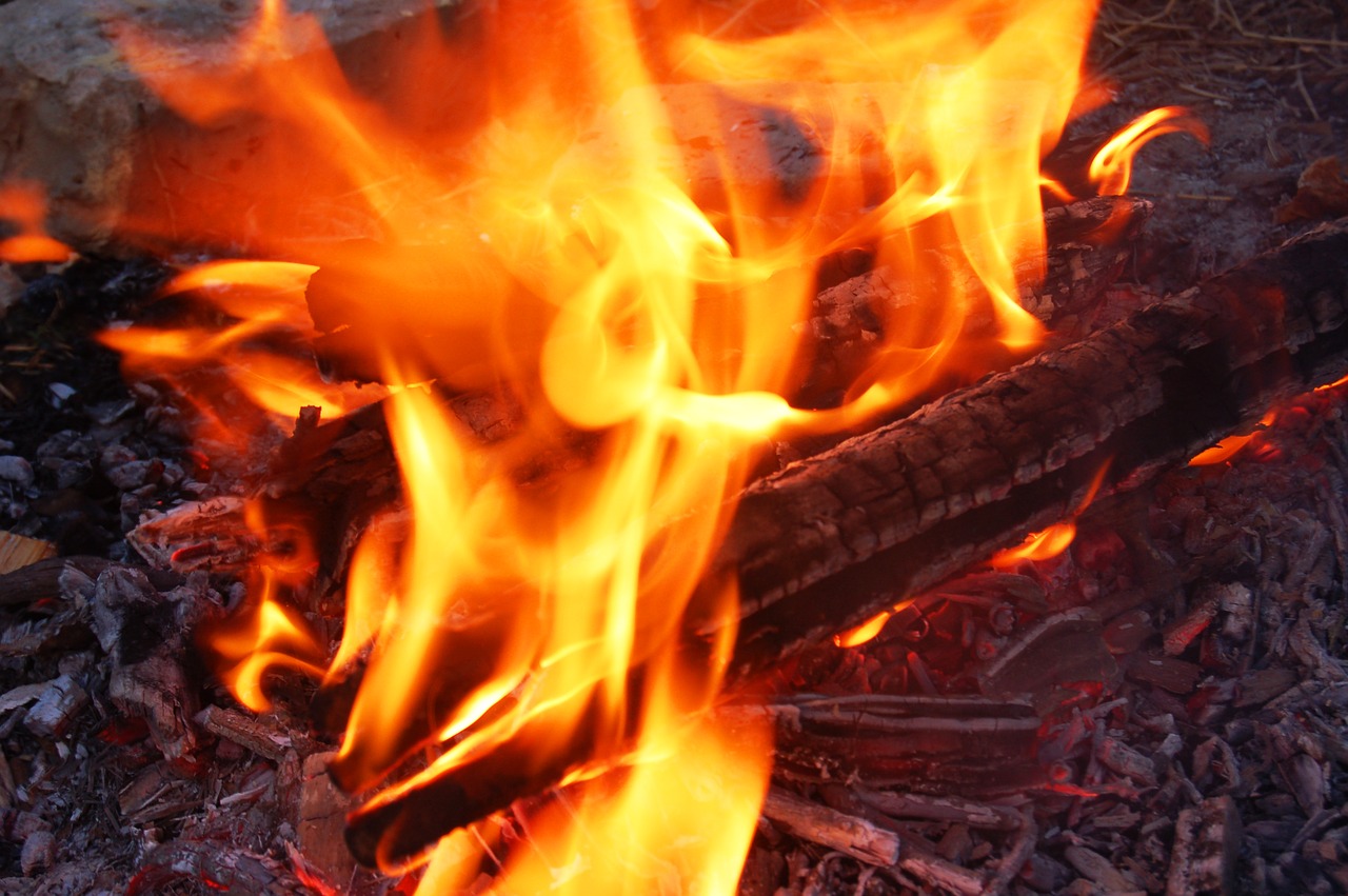 fire wood outdoors free photo