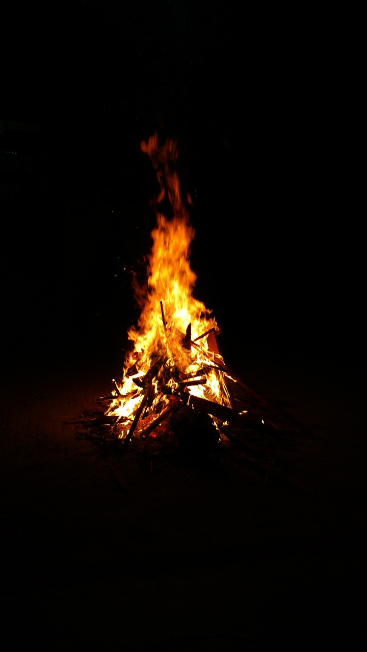 fire wood night free photo