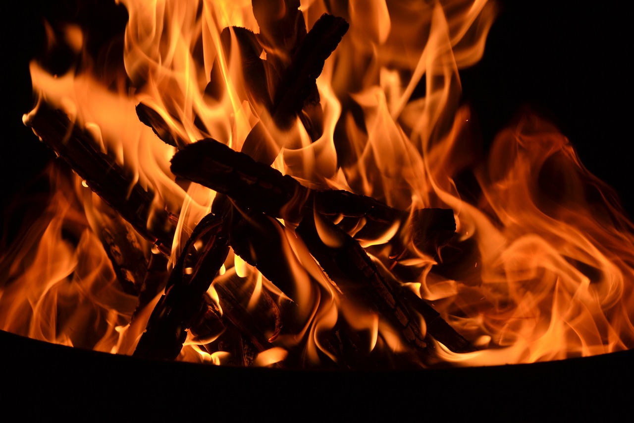 fire logs burning free photo