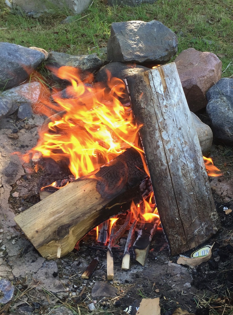 fire wood summer free photo