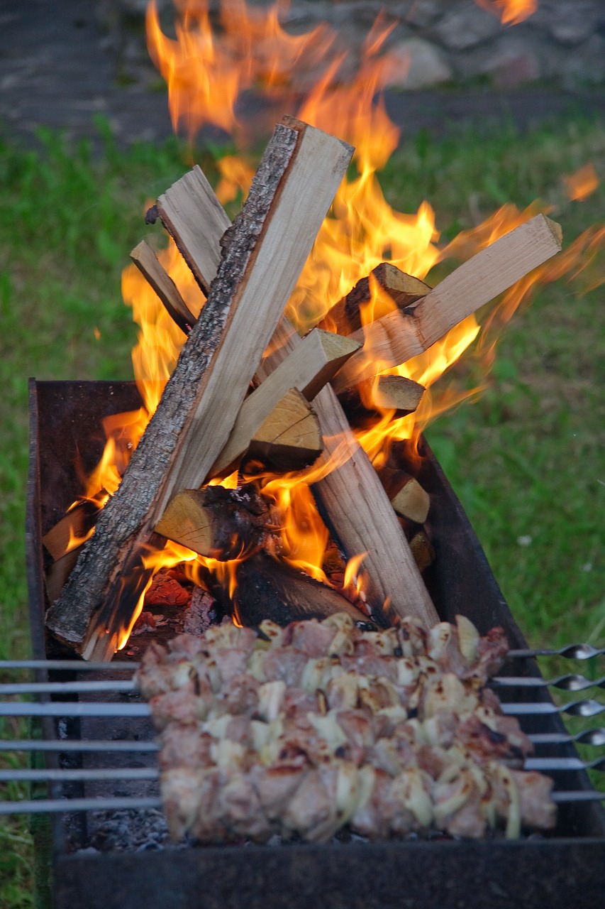 fire mangal shish kebab free photo