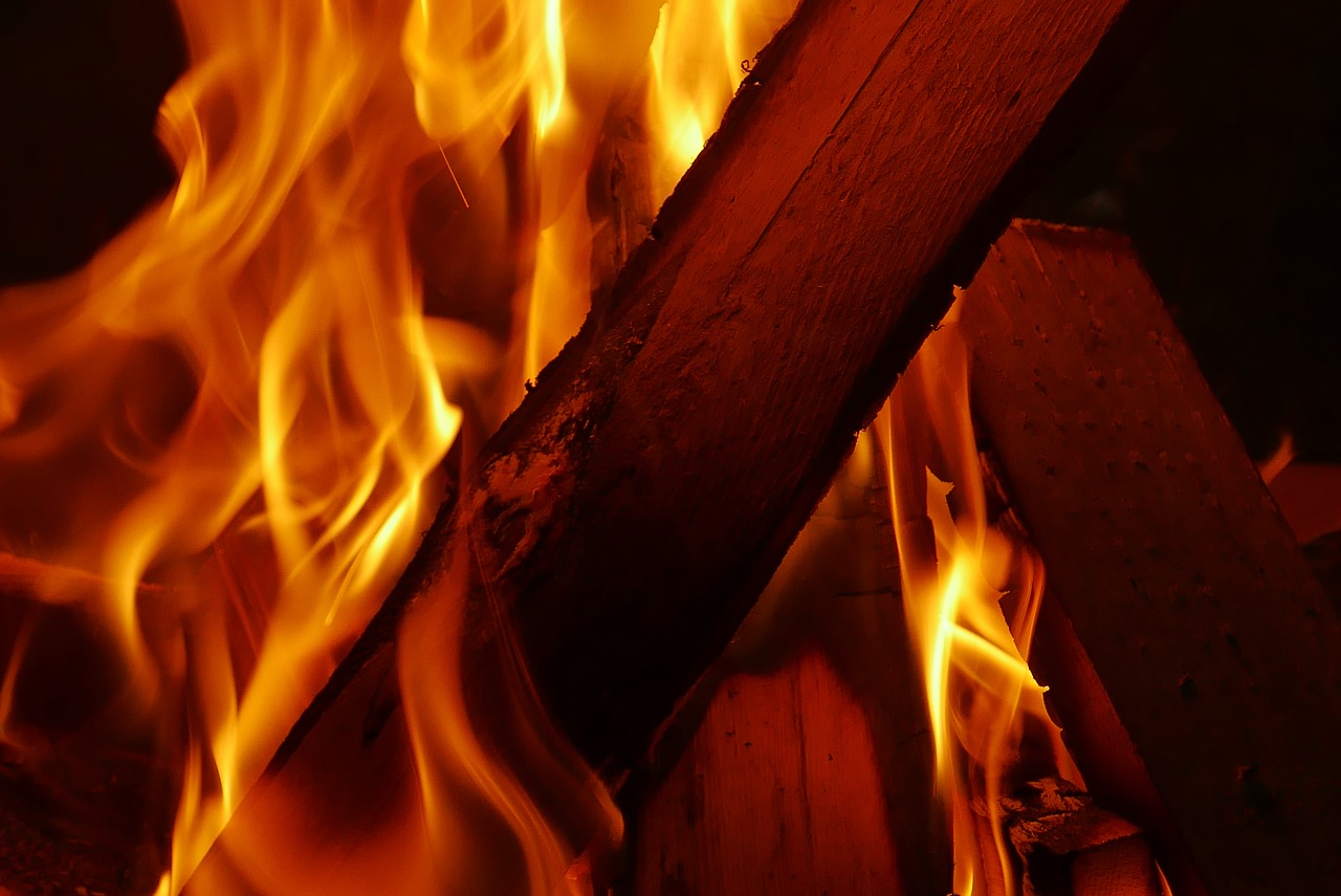 fire wood night free photo