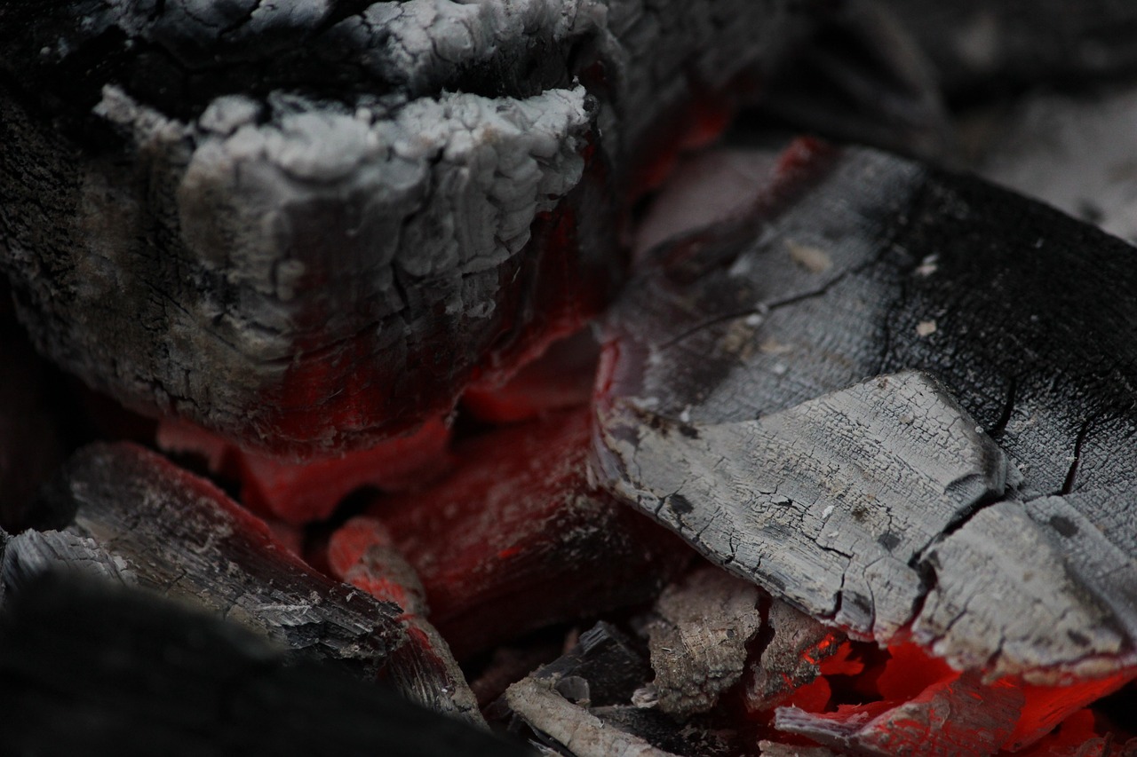 fire coals macro free photo