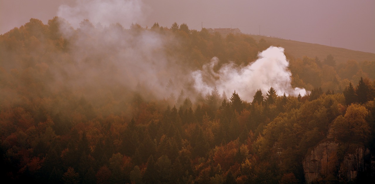 fire forest autumn free photo