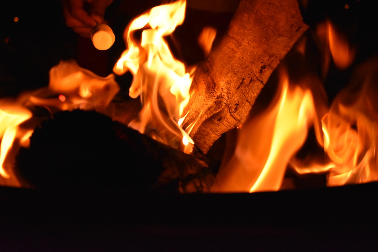 fire campfire bonfire free photo