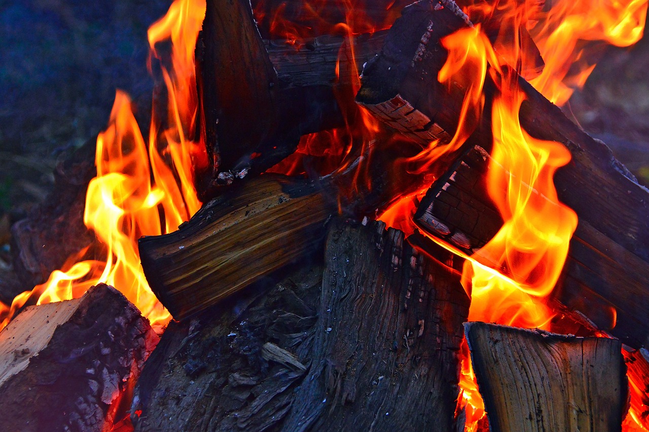 fire campfire burns free photo