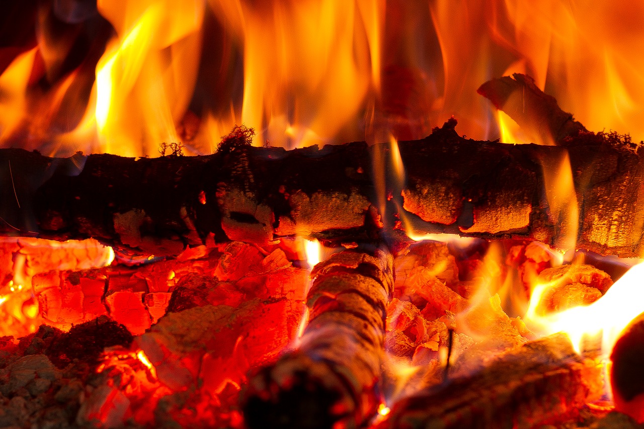 fire  campfire  heat free photo