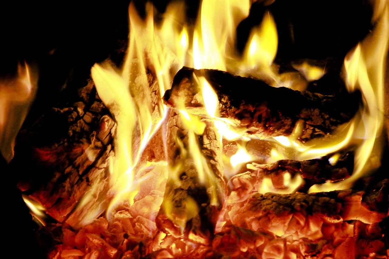 fire  coals  burn free photo