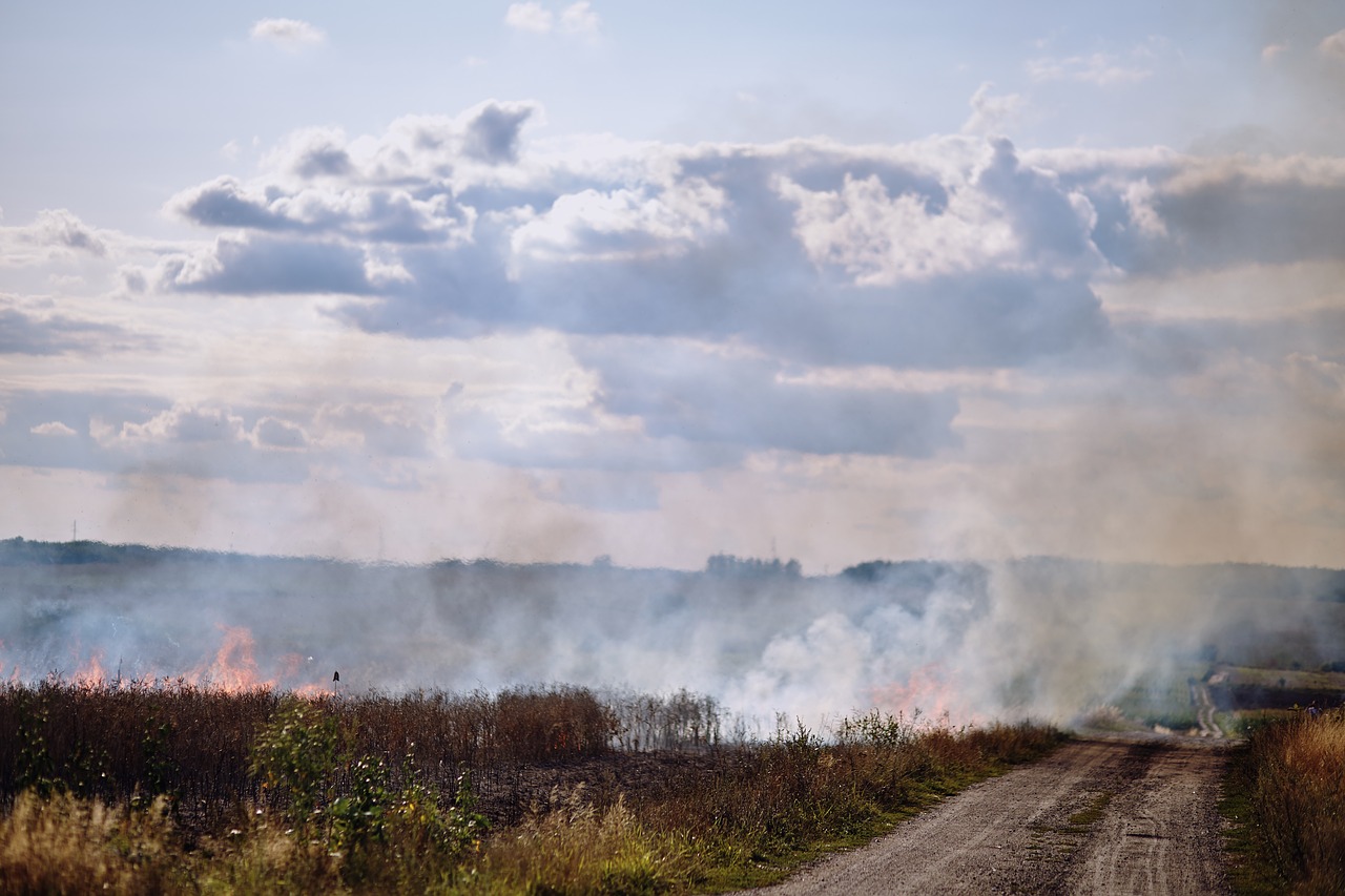 fire  field  anxiety free photo