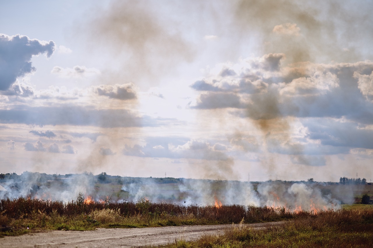 fire  field  anxiety free photo