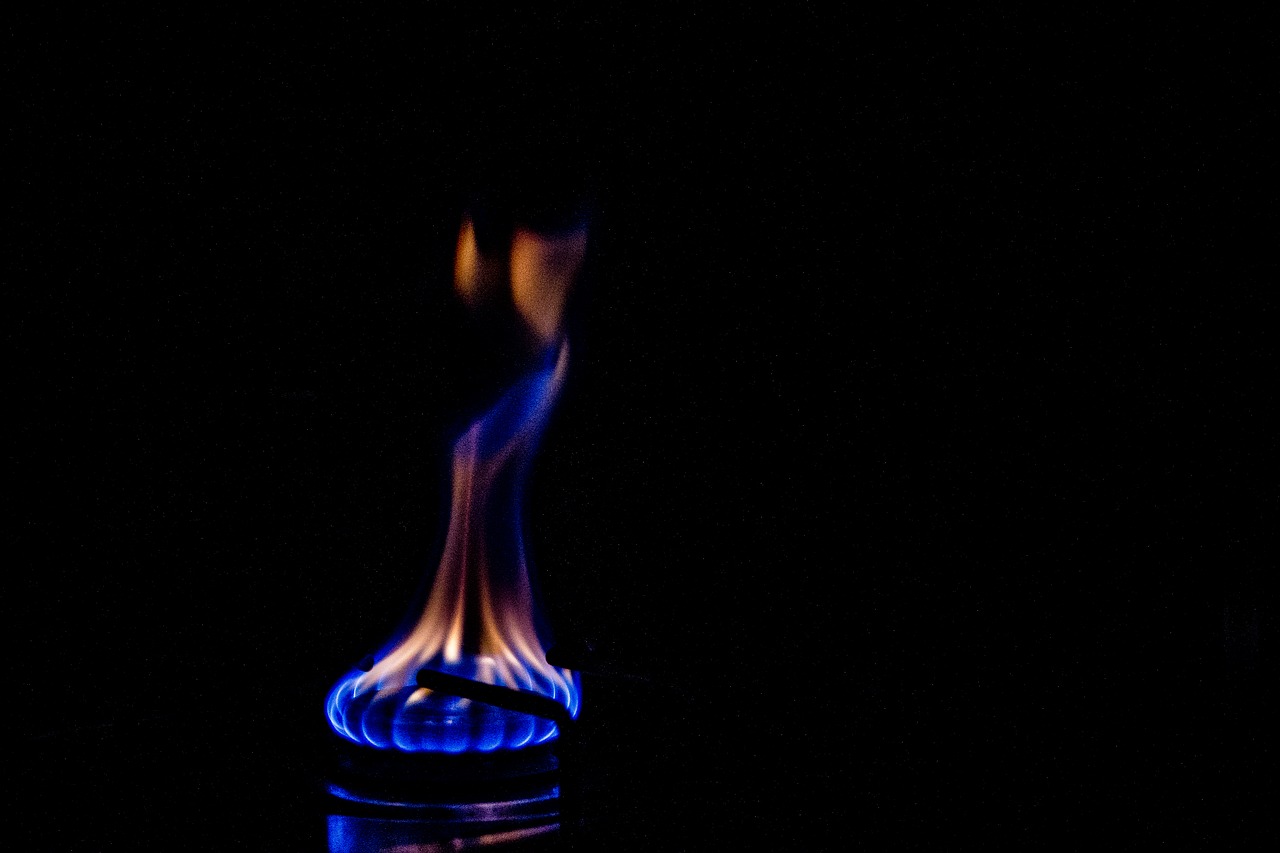 fire  flame  gas free photo