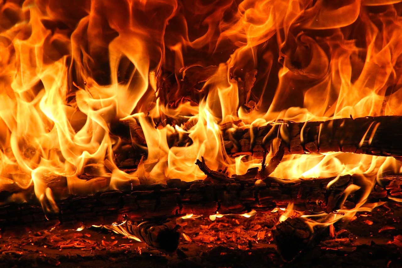 fire  flame  burn free photo