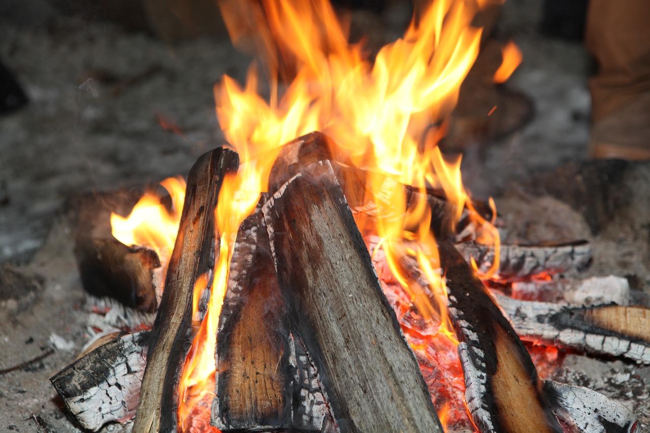 fire  wood  fireplace free photo