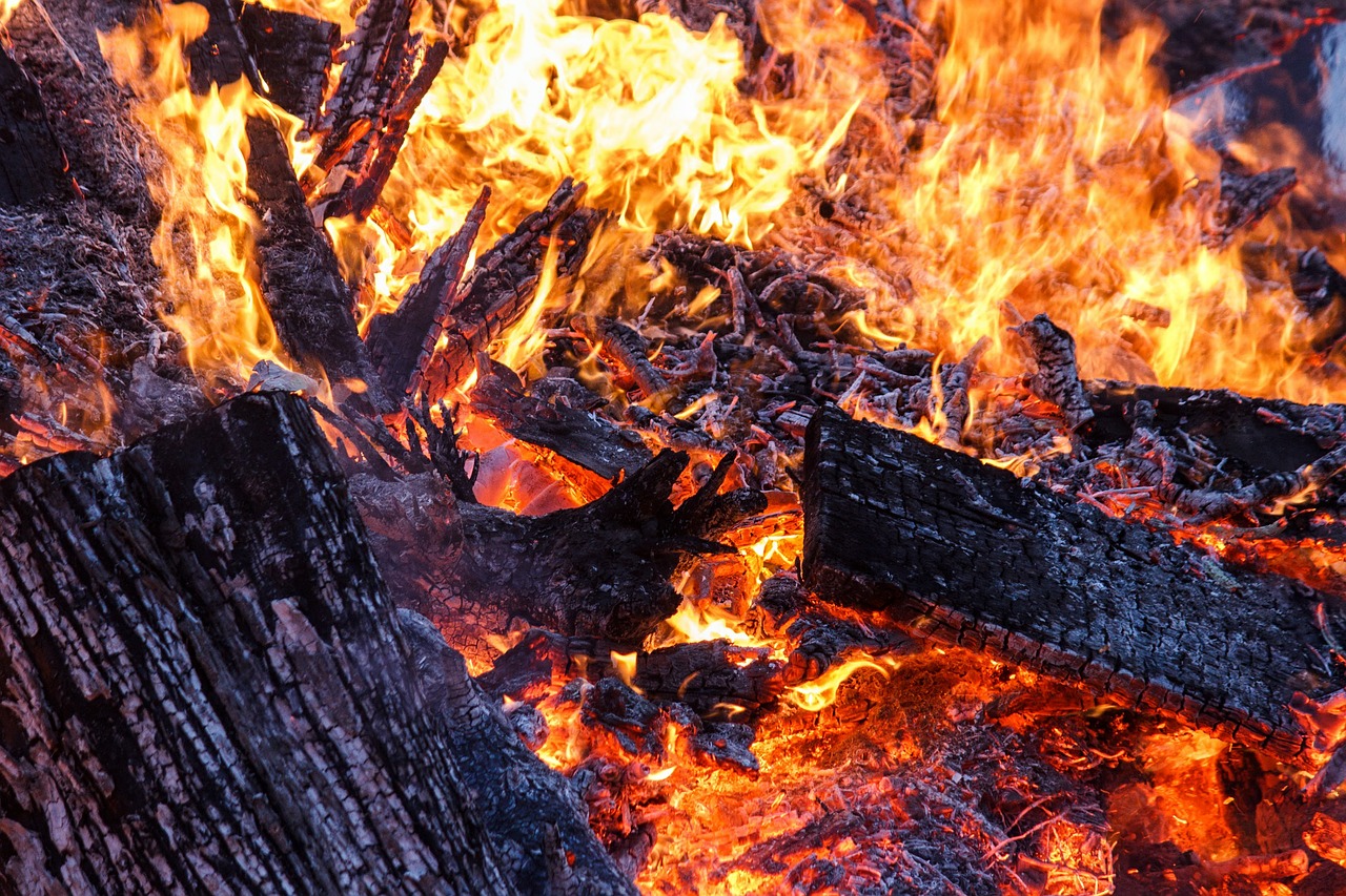 fire campfire embers free photo