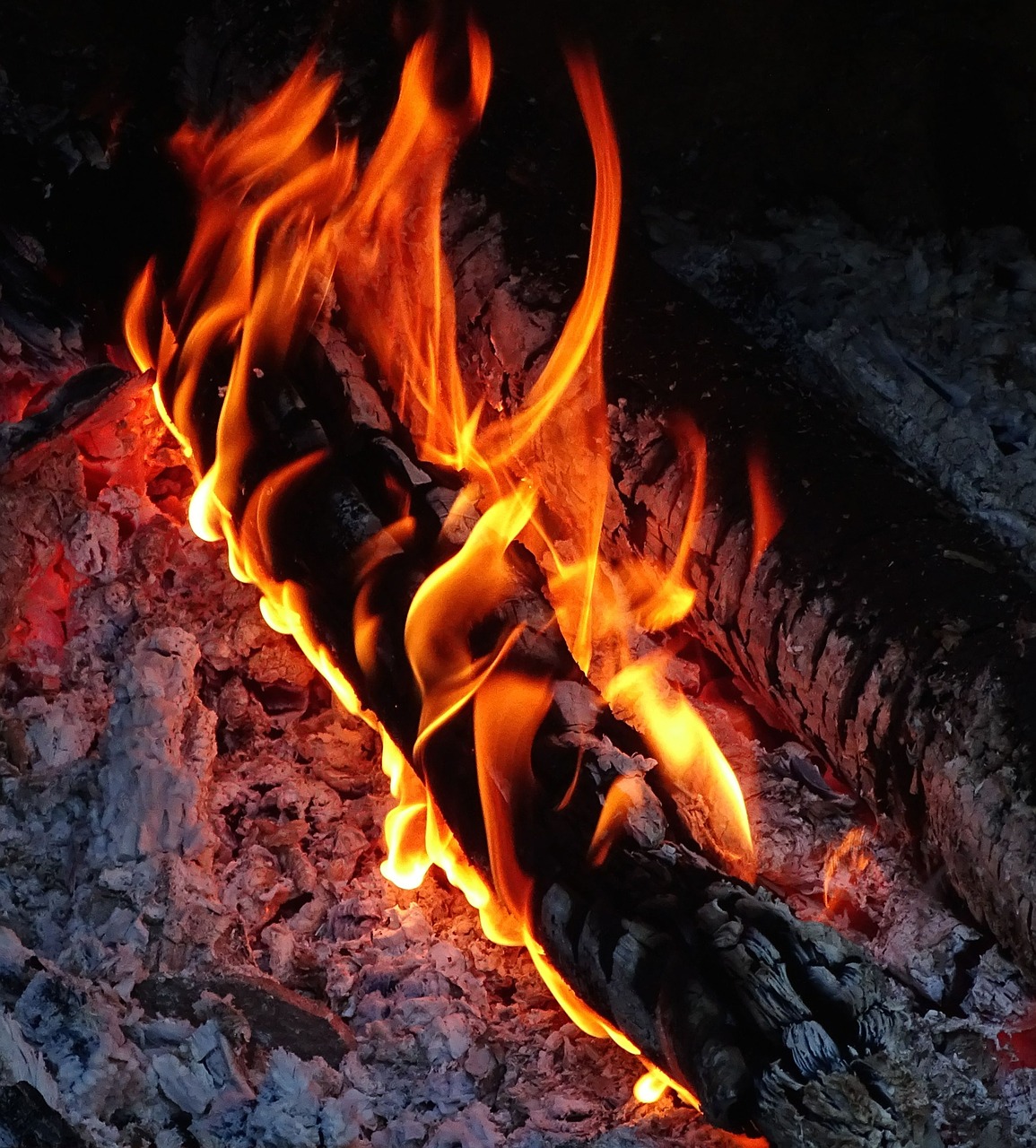 fire heat wood free photo