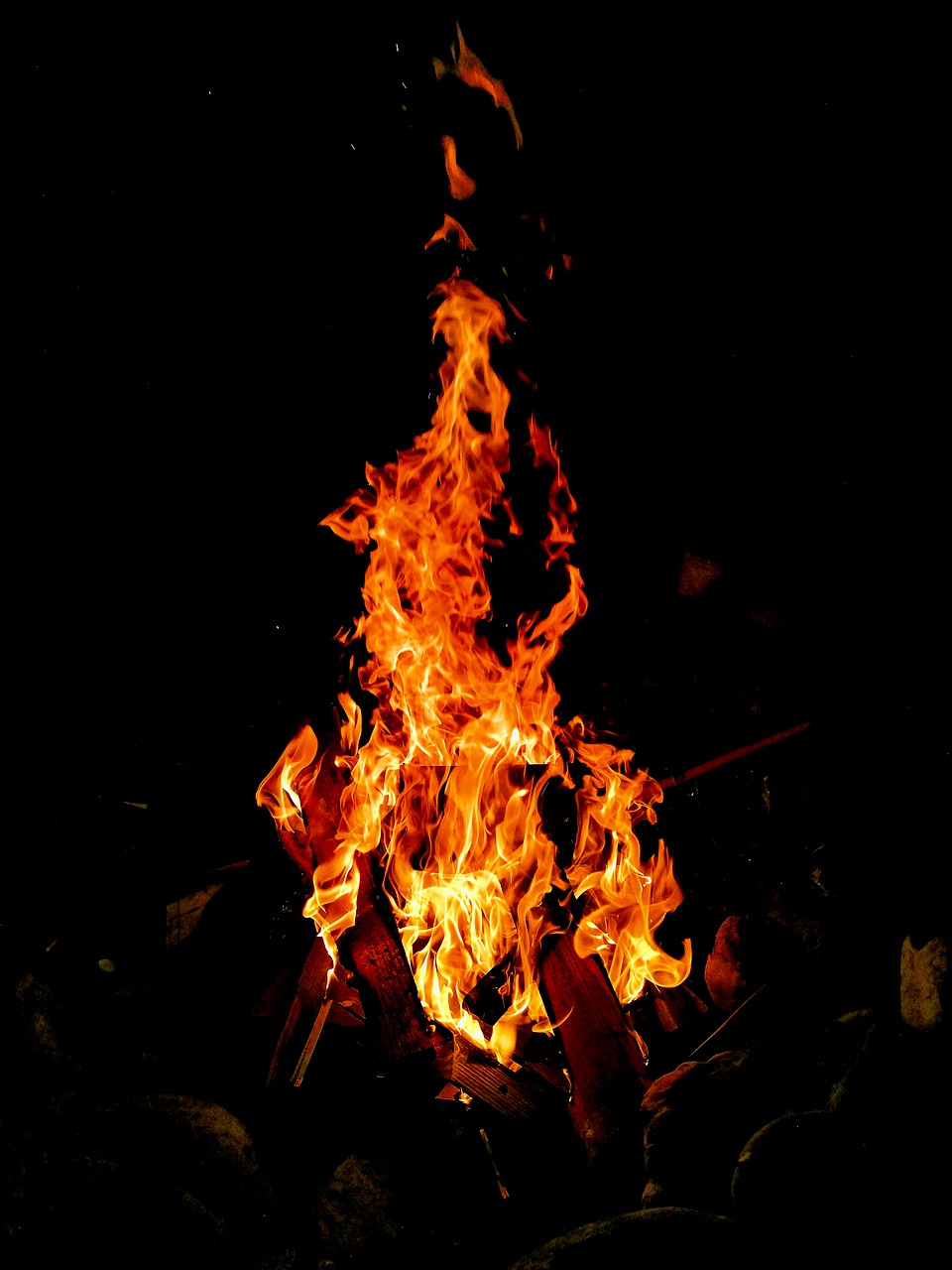 fire  campfire  flame free photo