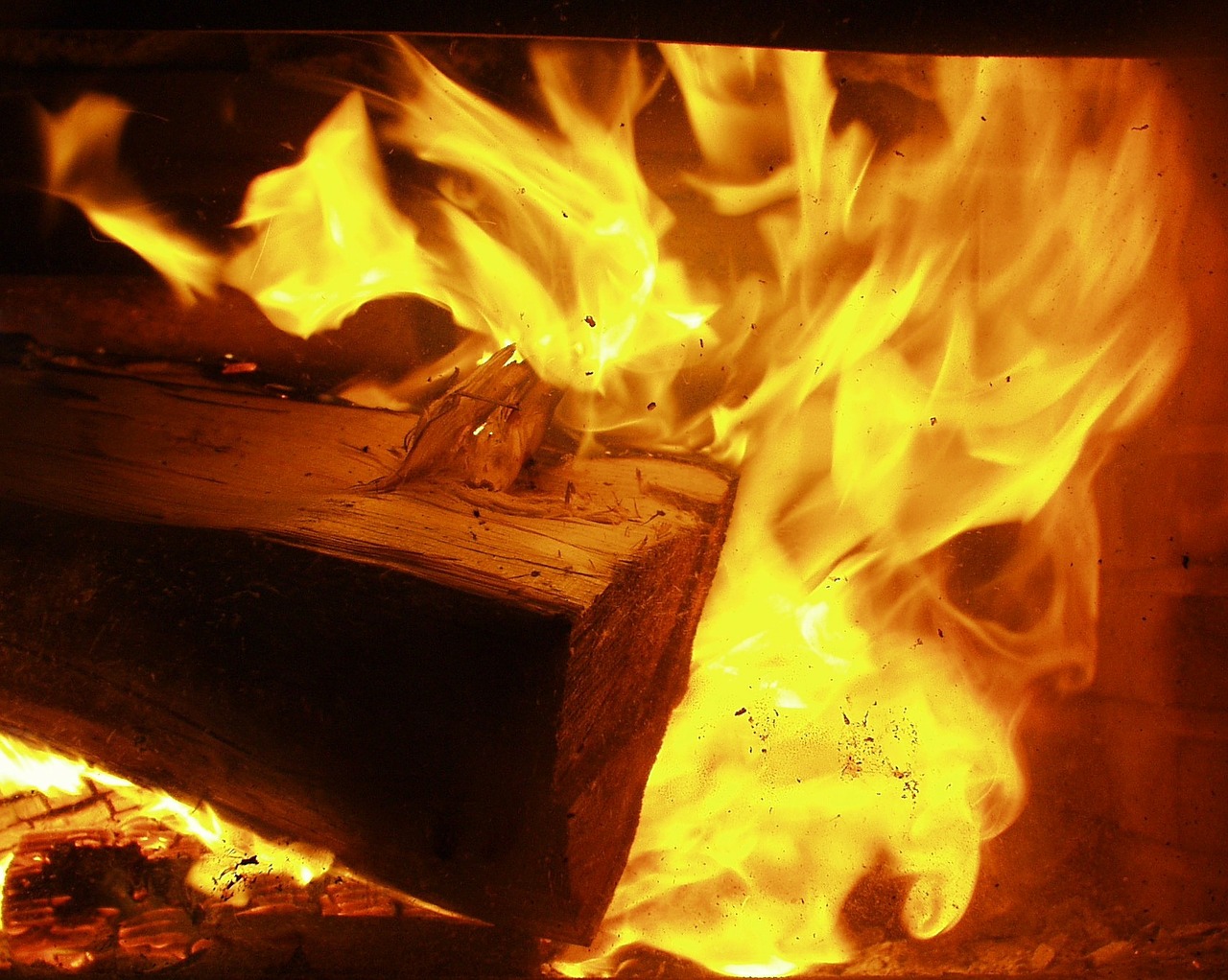 fire pit wood free photo