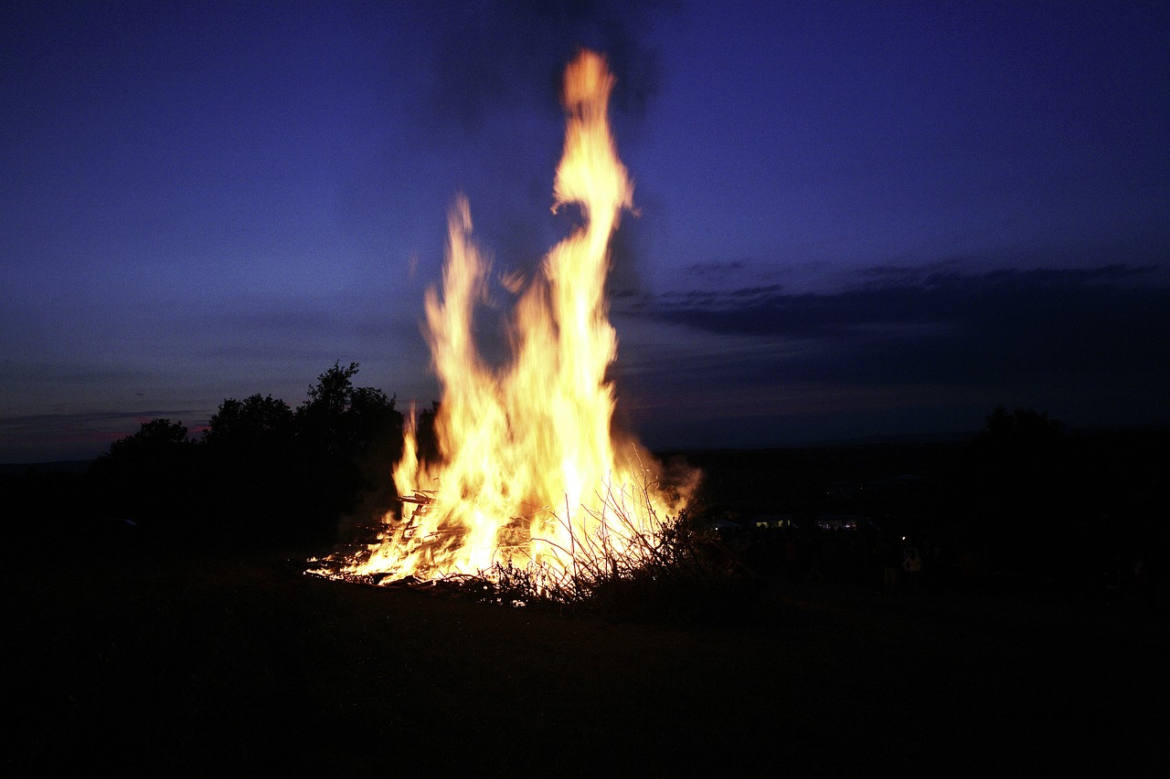 fire flame evolutionary free photo