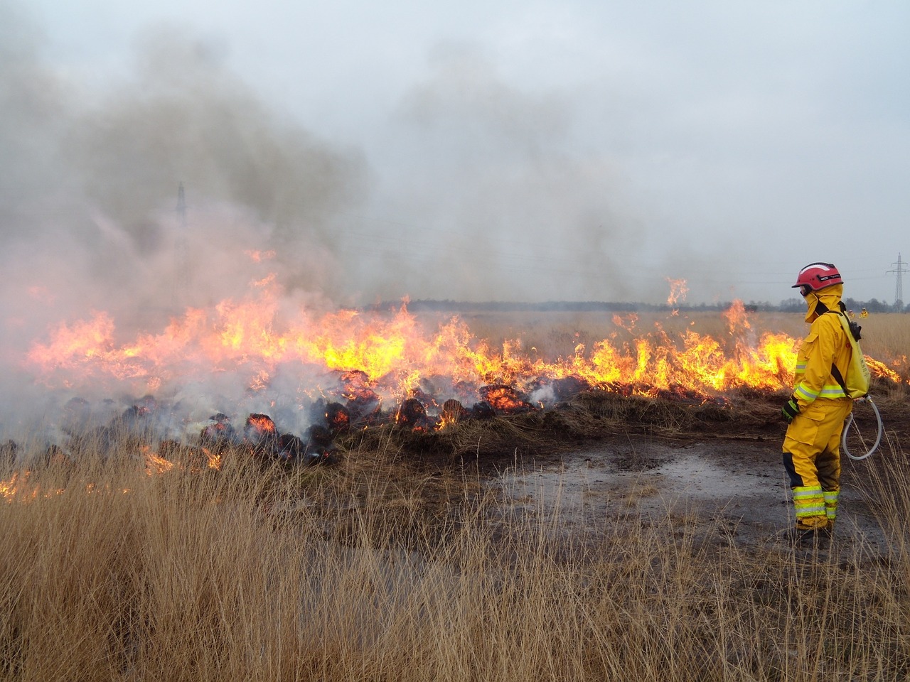 fire heide heath fire free photo