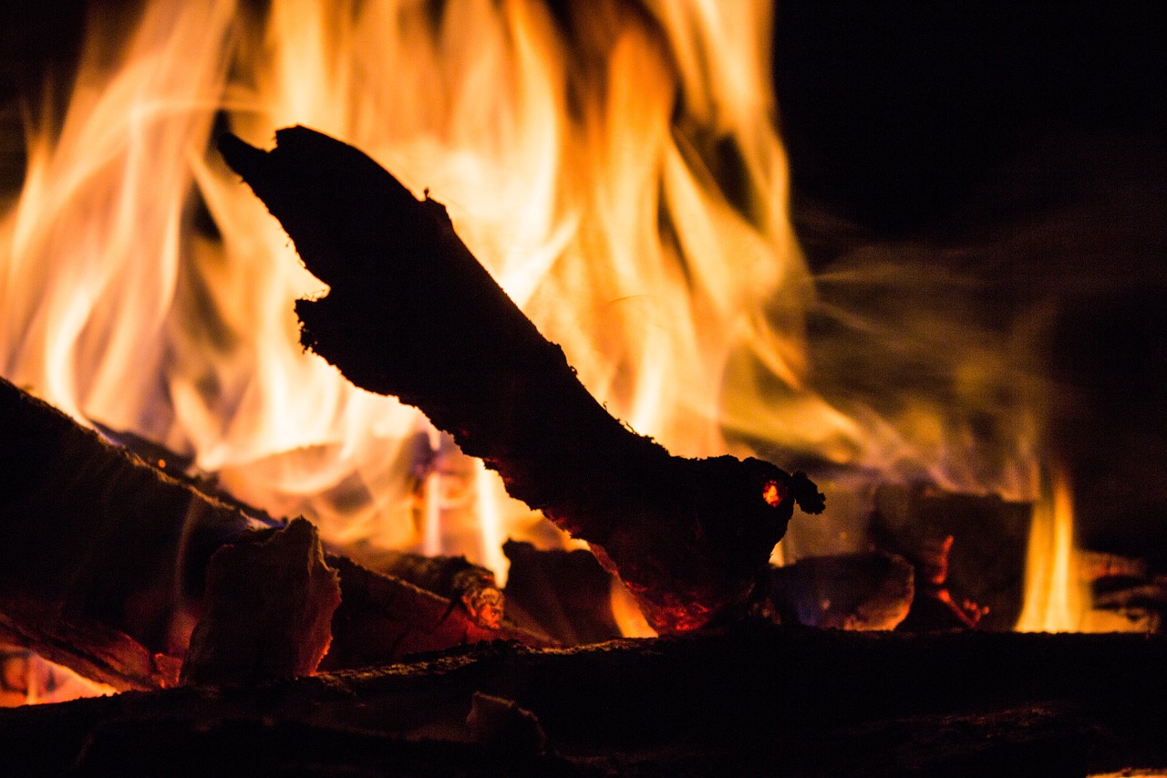 fire log wood free photo