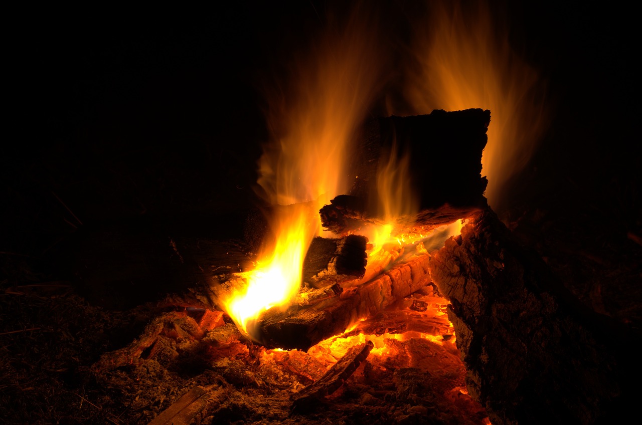 fire campfire wood free photo