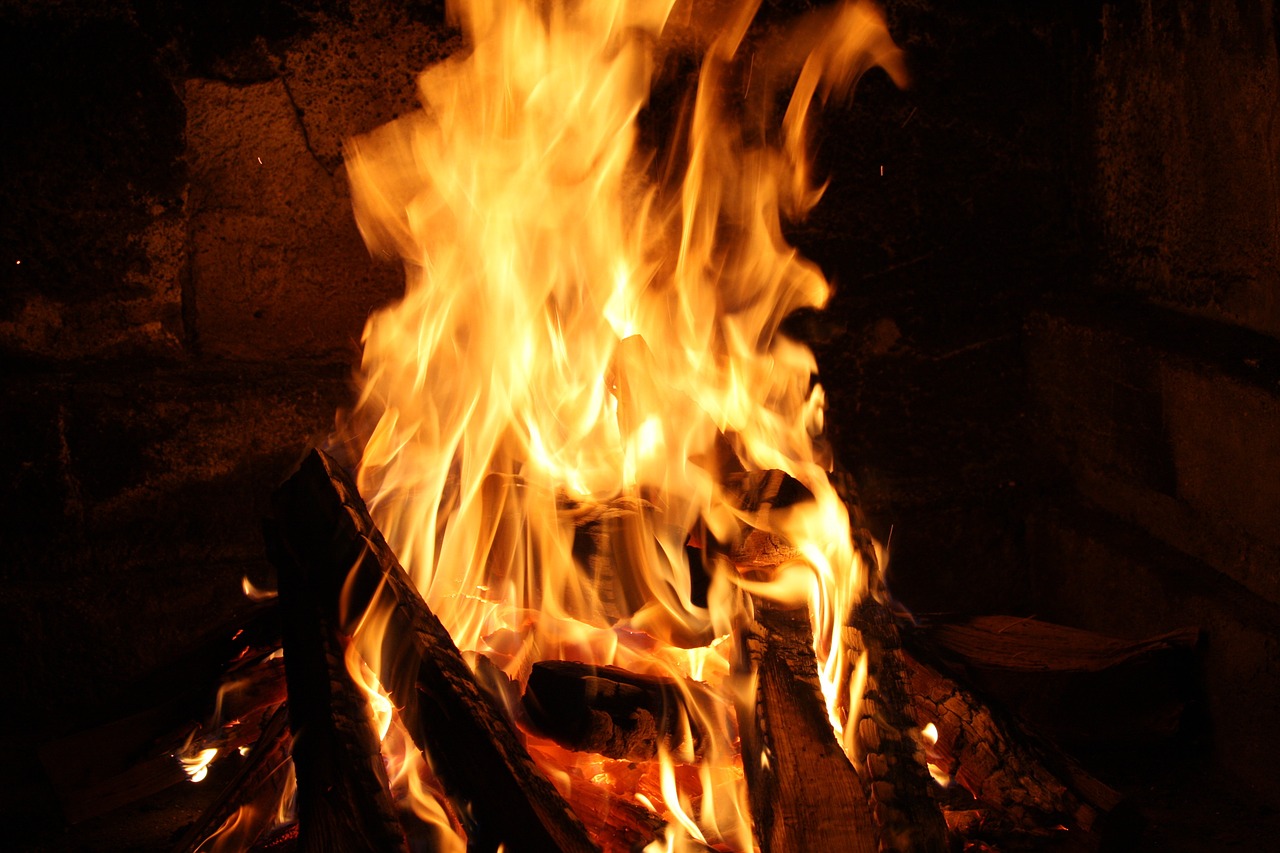 fire barbecue wood free photo