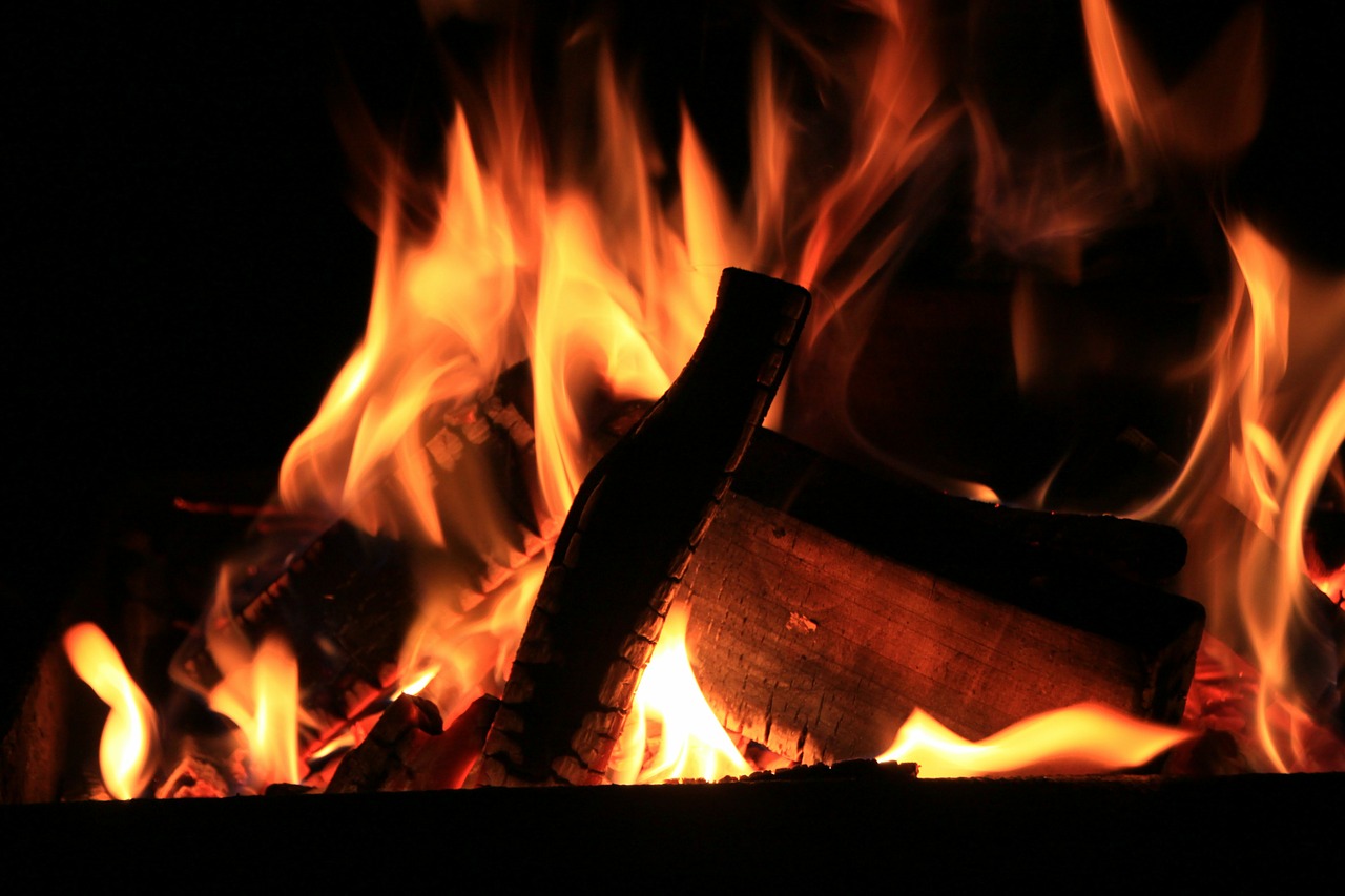 fire barbecue grill free photo