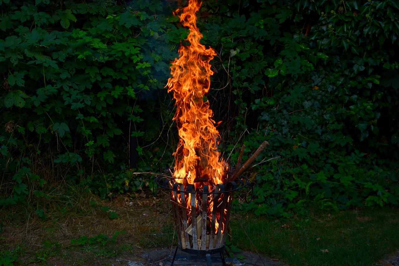 fire flame campfire free photo