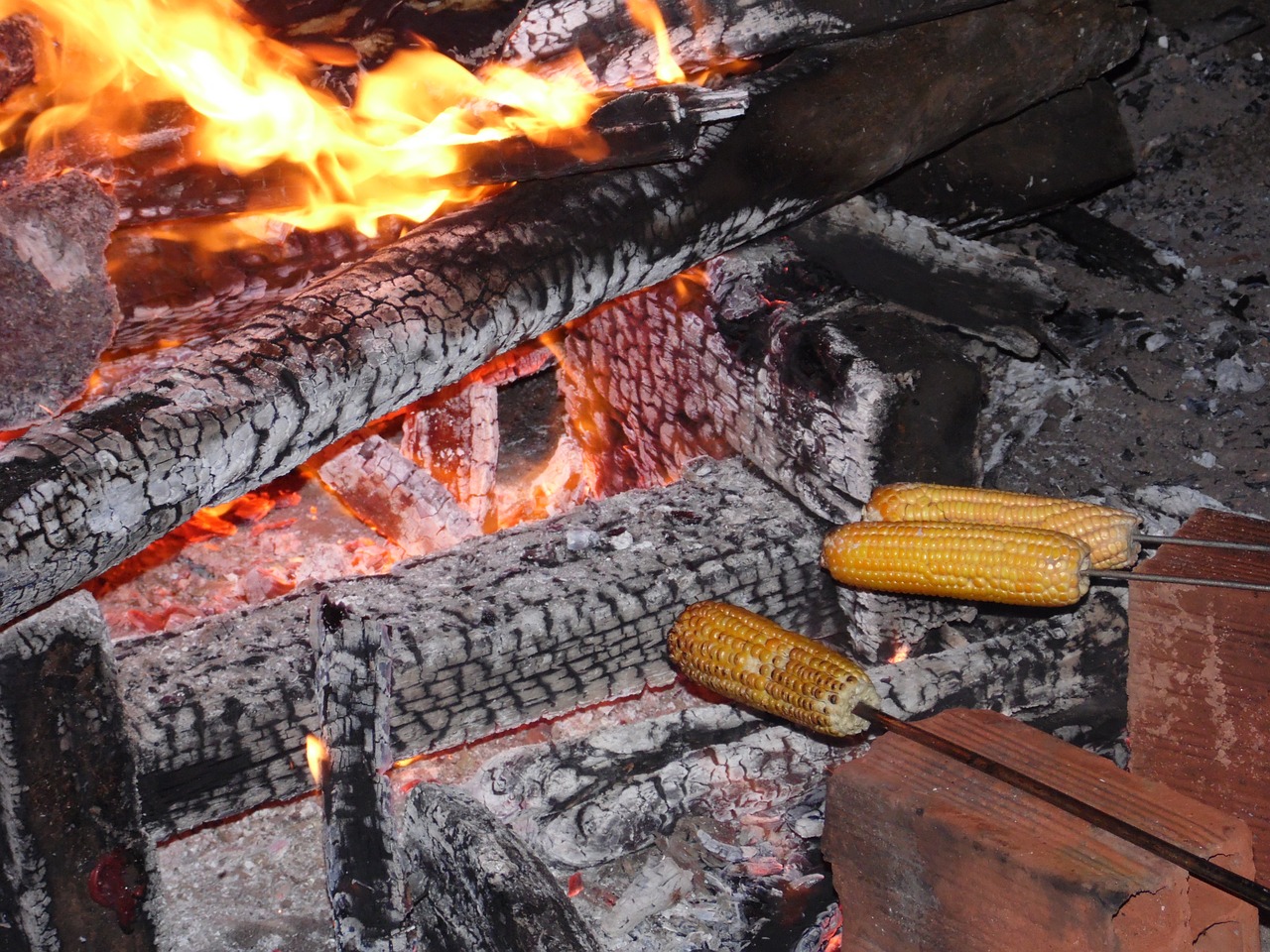 fire the stake corn free photo