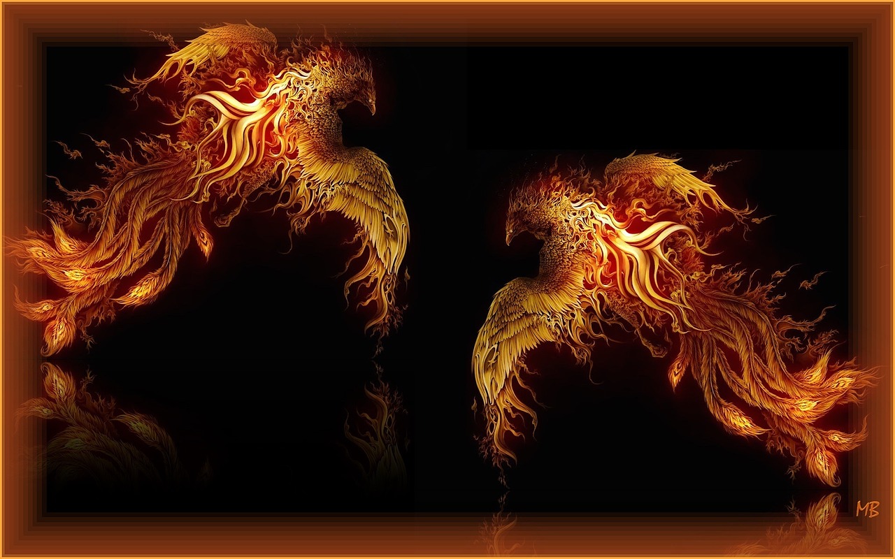 fire birds fractal free pictures free photo