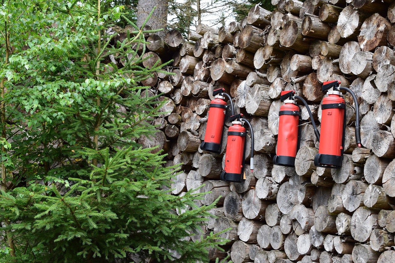 fire extinguisher wood forest free photo