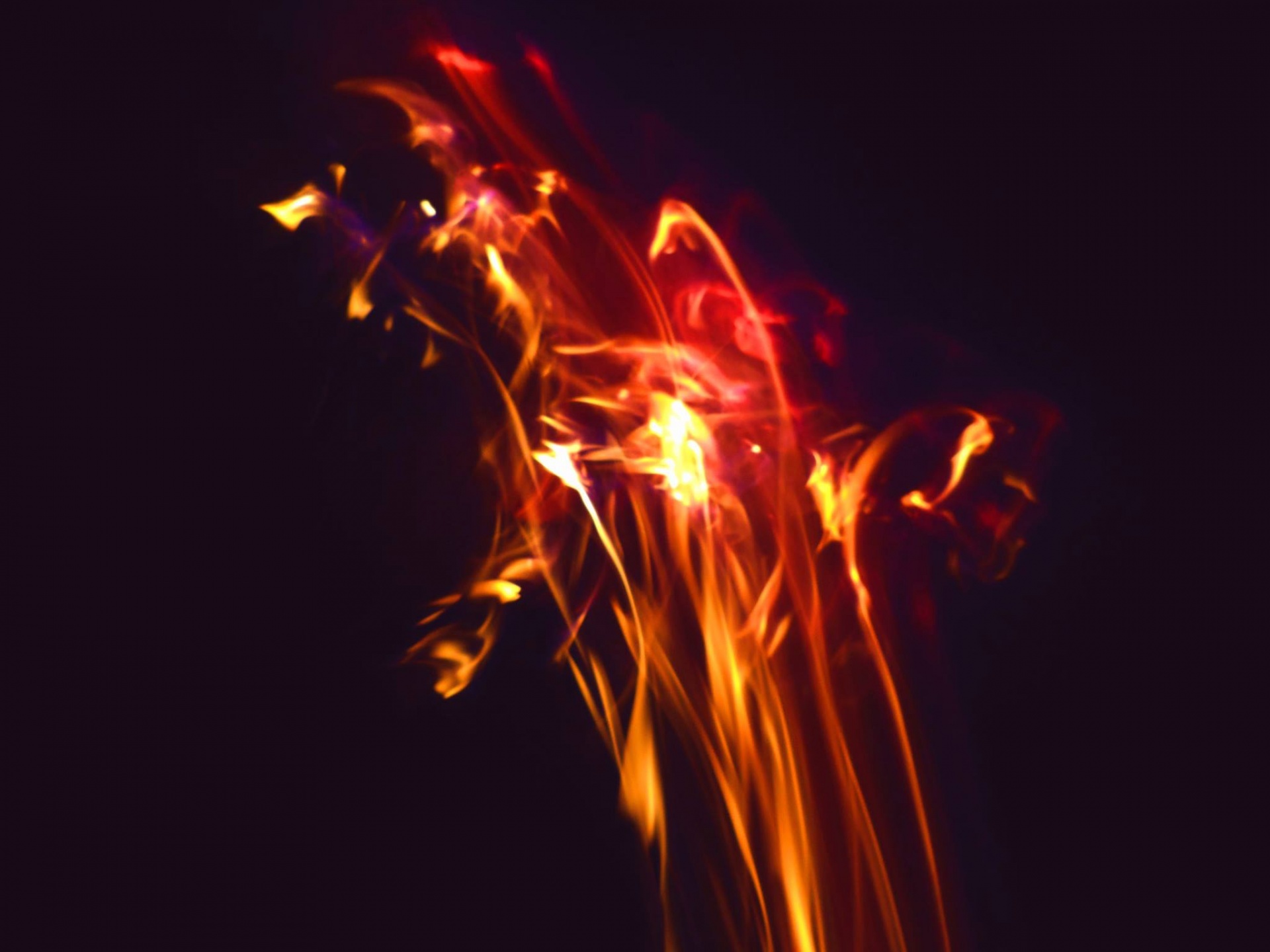 bonfire at night fire abstract photography free photo