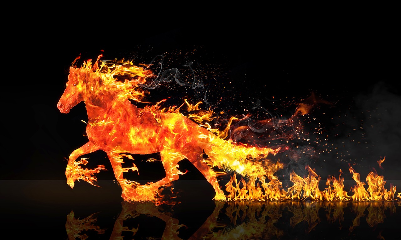 fire horse horse running wastage free photo