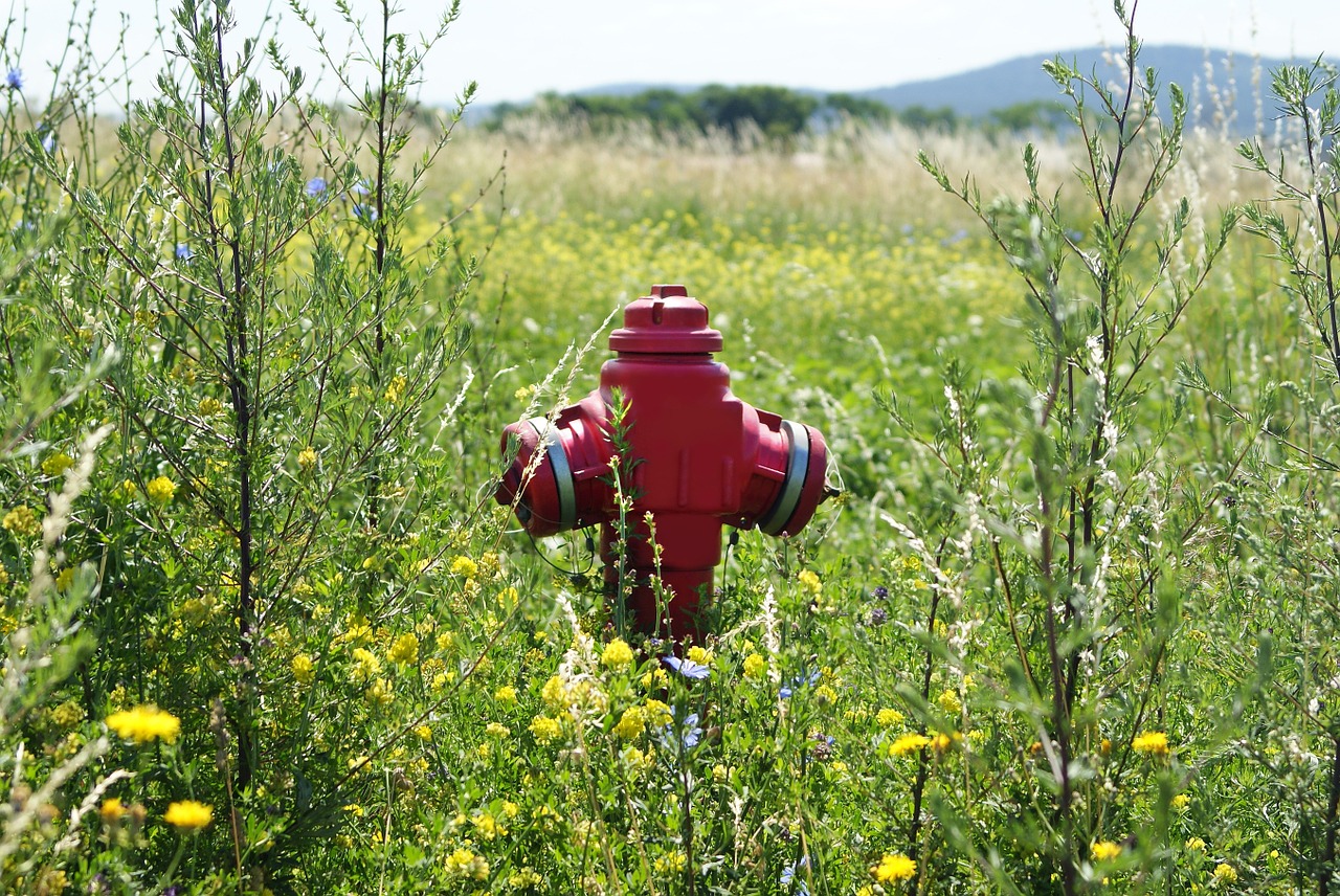 fire hydrant fire green free photo