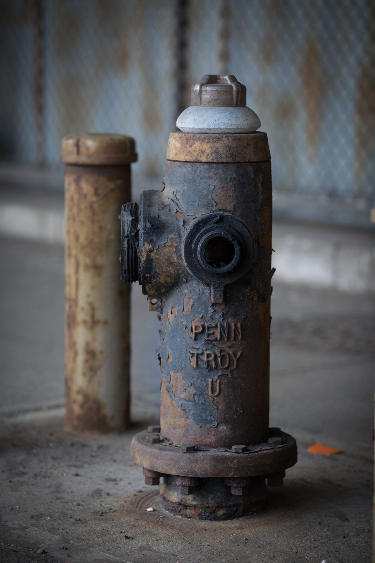 hydrant fire urban free photo