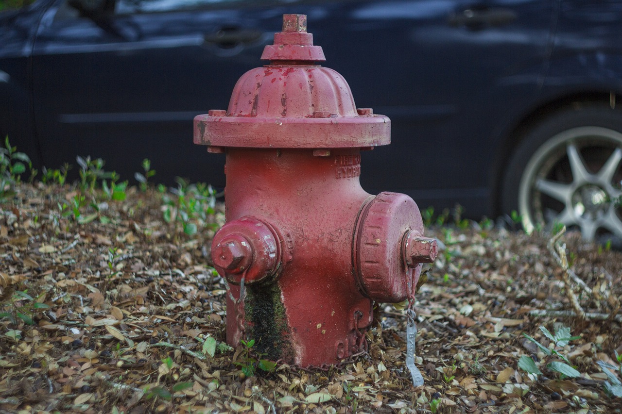 fire hydrant hydrant red free photo