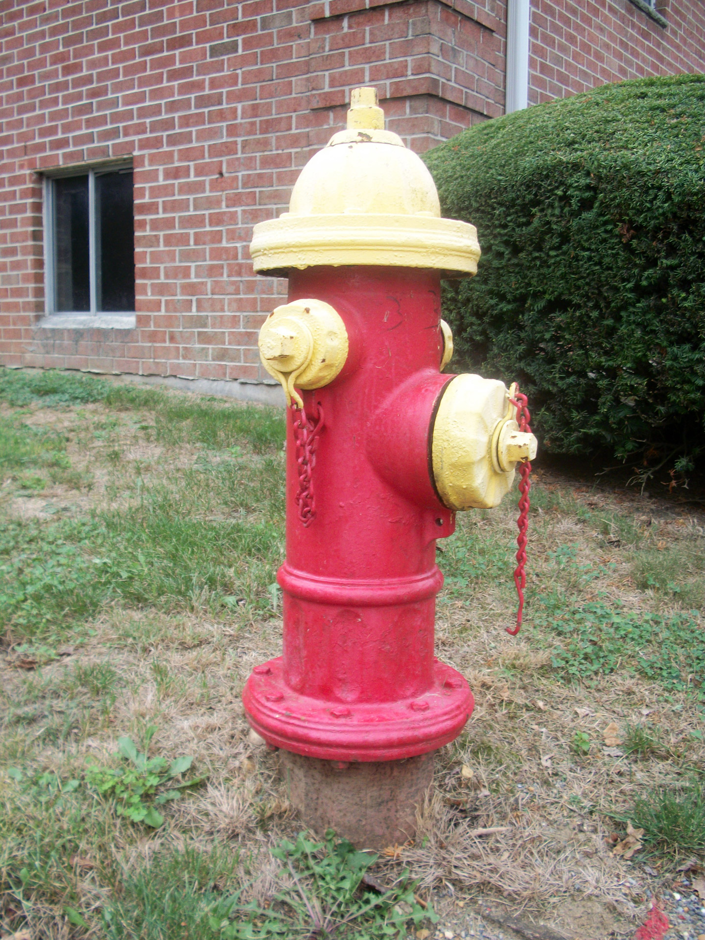 red color fire hydrant free photo