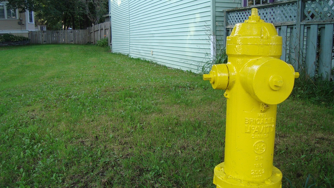 fire hydrant fireplug plug free photo