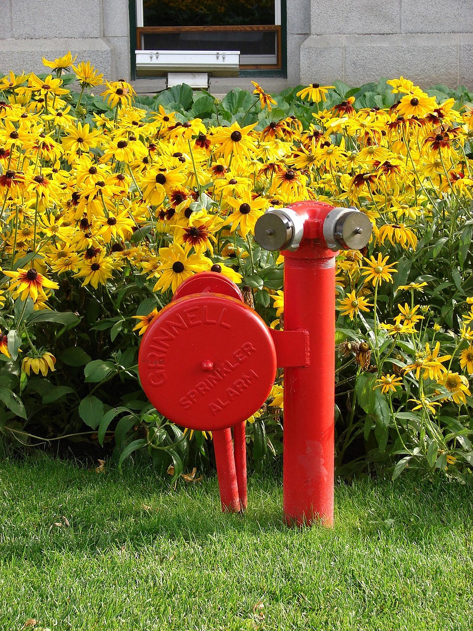 fire hydrant hydrant stand pipe free photo