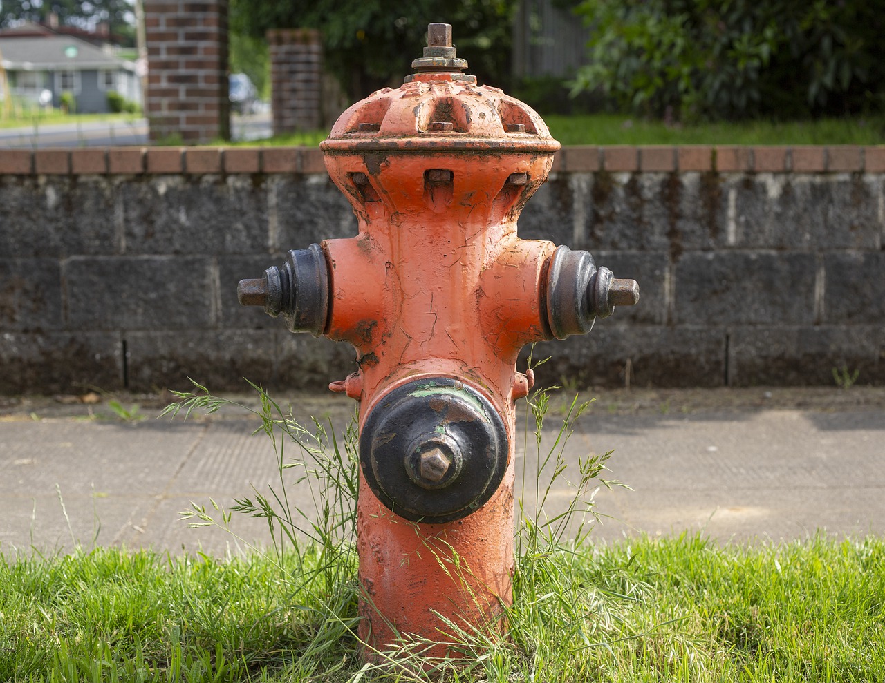 fire hydrant  orange  water free photo
