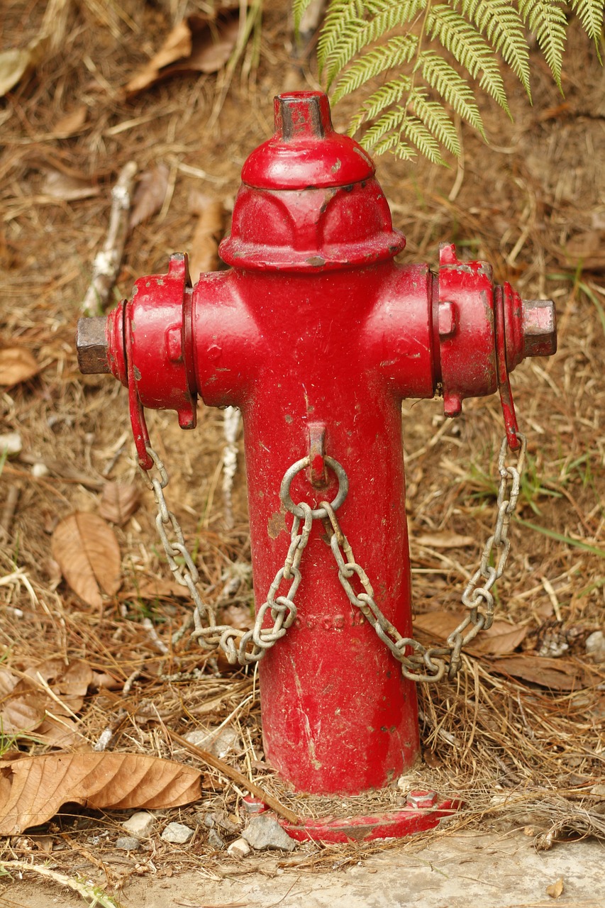 fire hydrant water red free photo