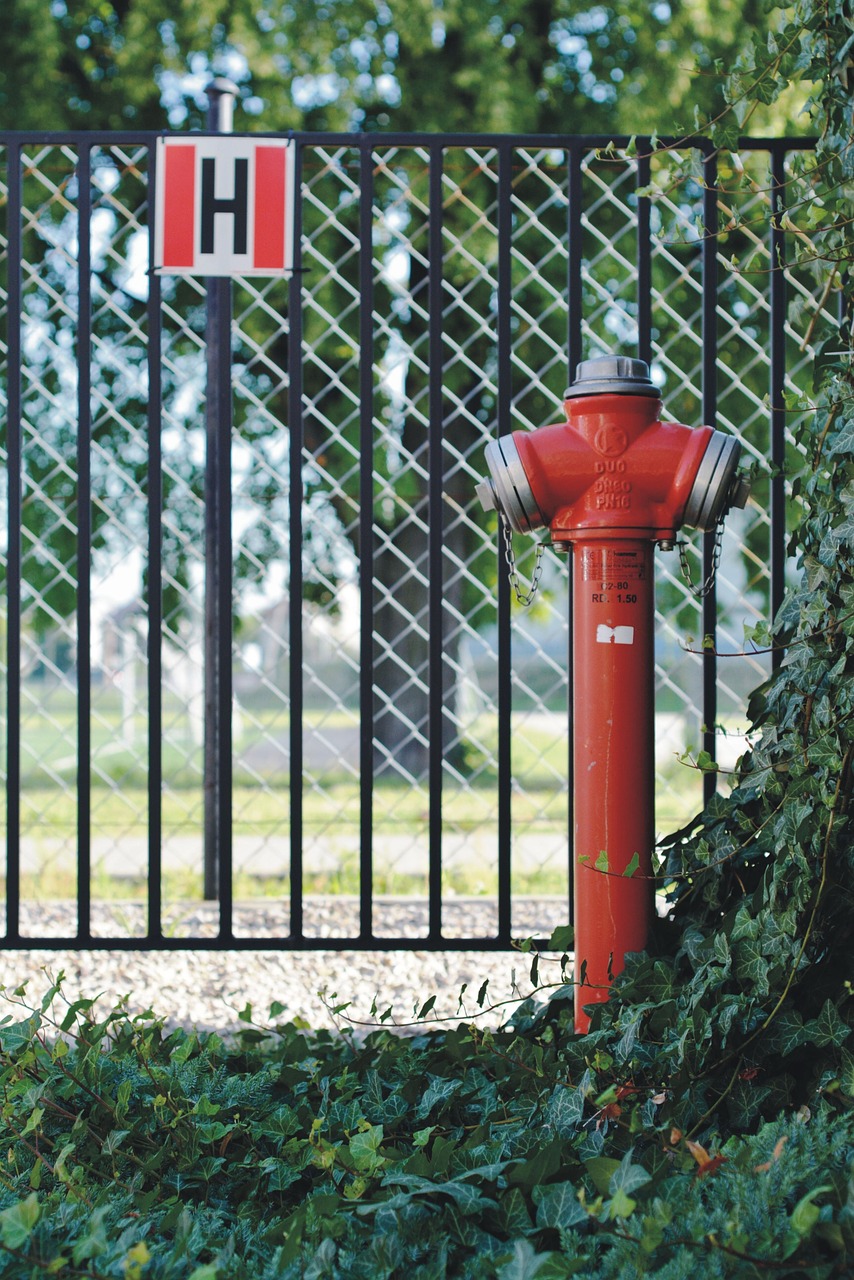 fire hydrant water ivy free photo