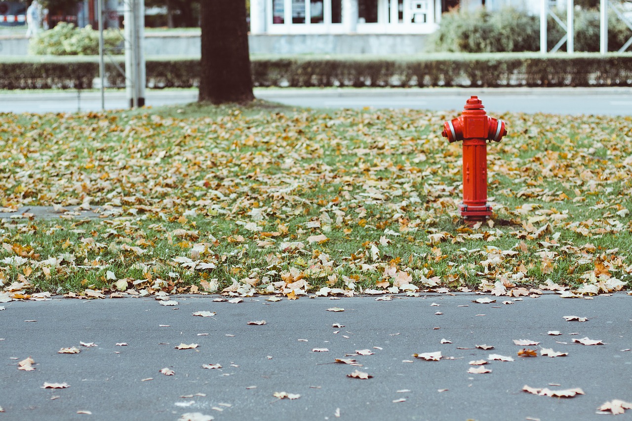 fire hydrant leaves grass free photo
