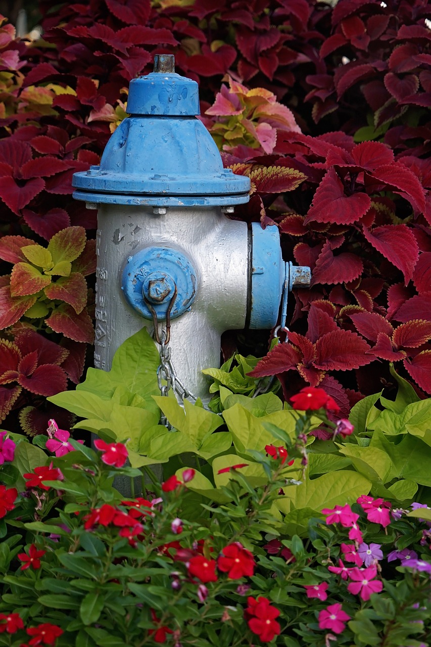 fire hydrant hydrant blue free photo